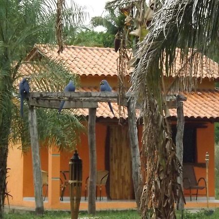 Pousada Reserva Ecologica Jaguar Poconé Kültér fotó