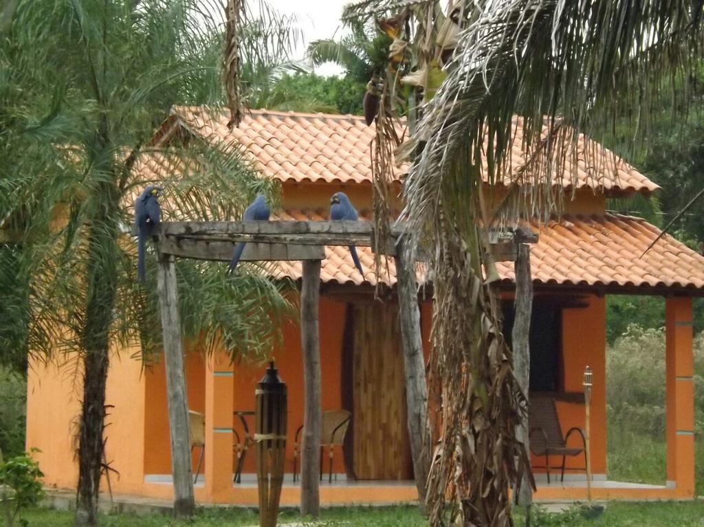 Pousada Reserva Ecologica Jaguar Poconé Kültér fotó
