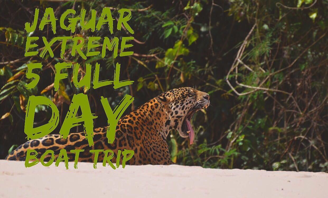 Pousada Reserva Ecologica Jaguar Poconé Kültér fotó